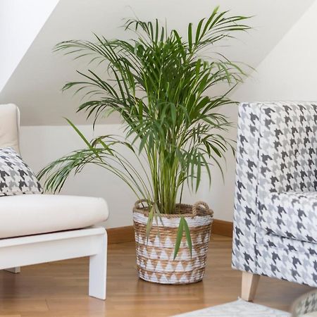 Apartamento Boutique Con Terraza Y Vistas Al Mar. Porto Vilanova Villanueva De Arosa Extérieur photo